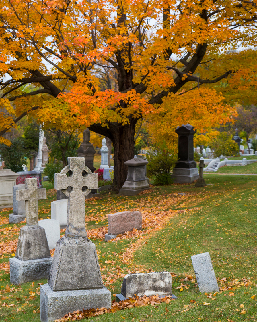 cimetière